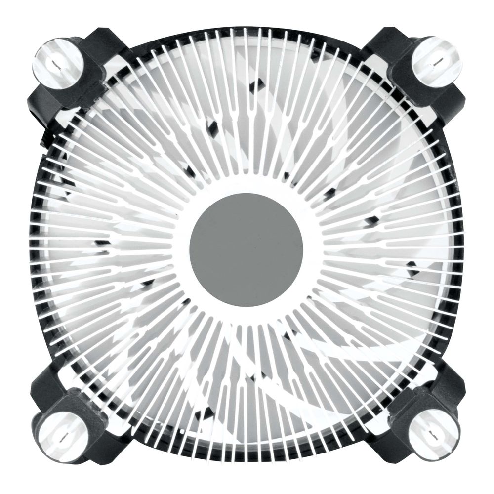 main-image