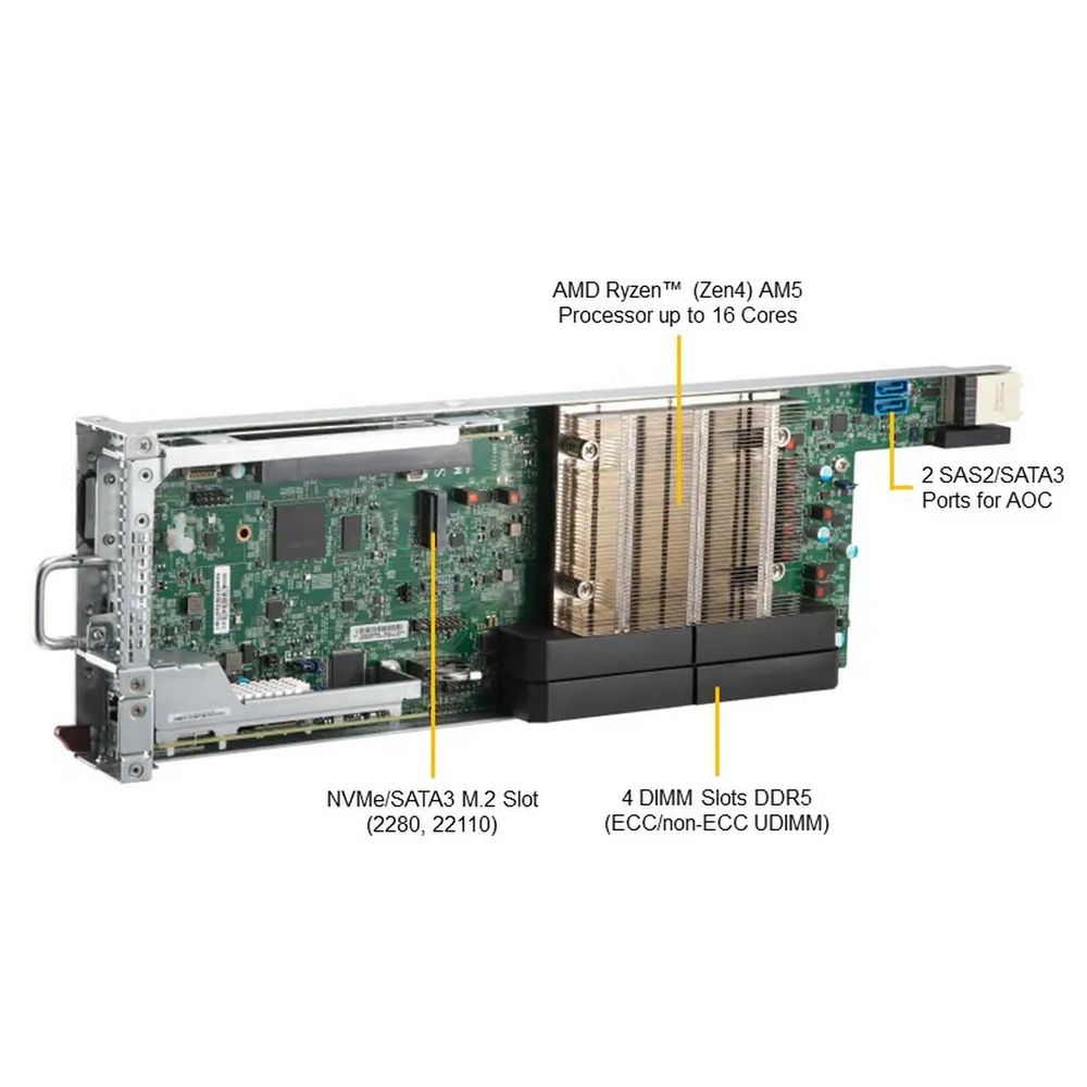 main-image