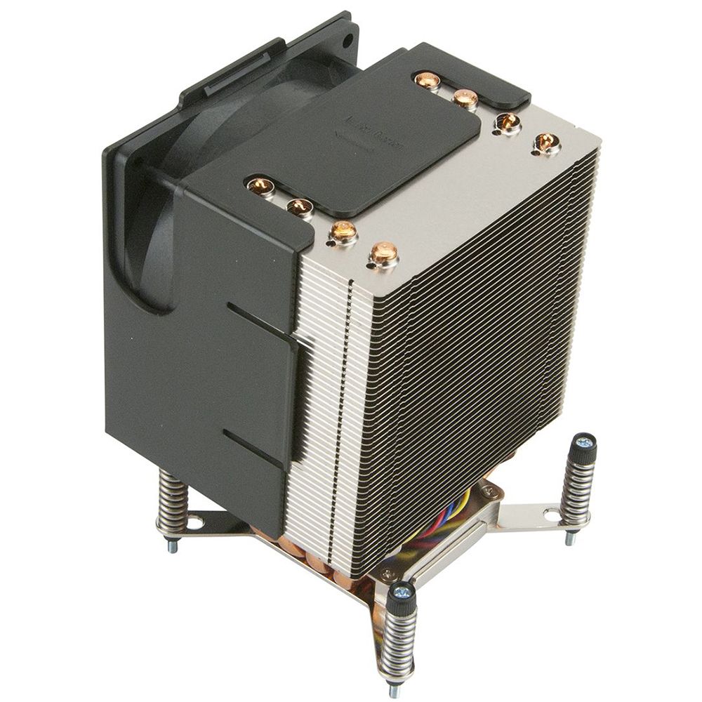 main-image