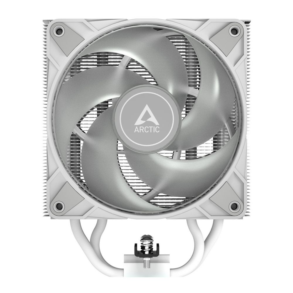 main-image