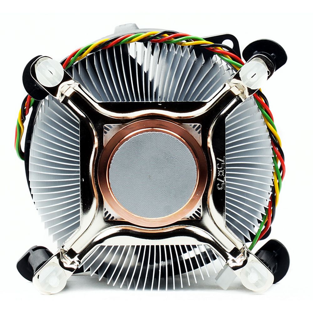 main-image