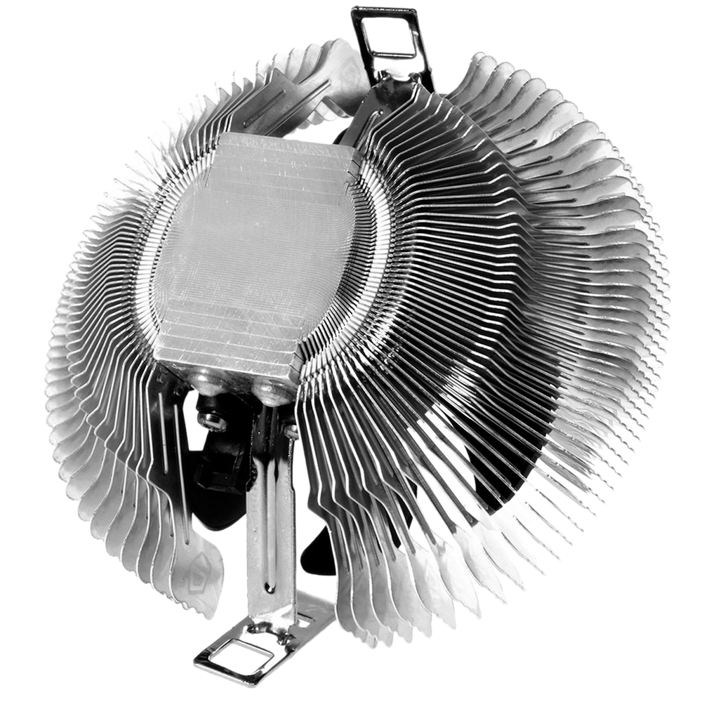 main-image