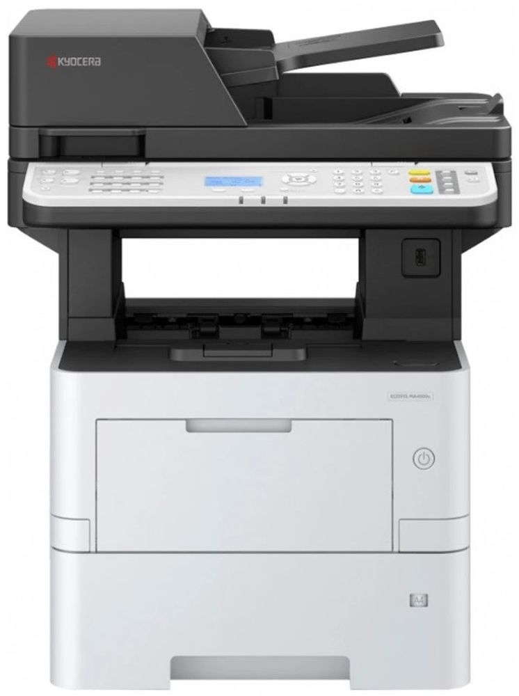 main-image
