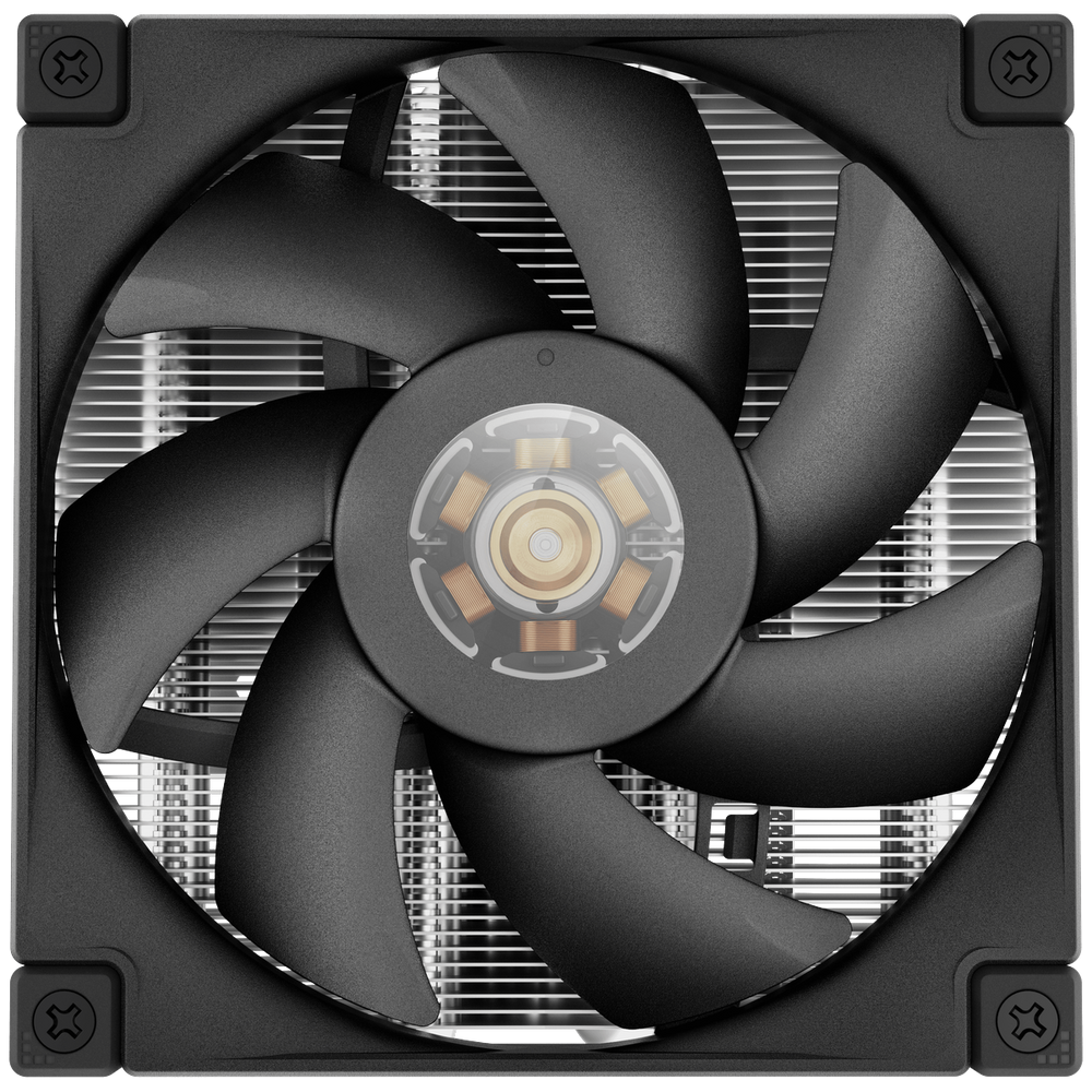 main-image