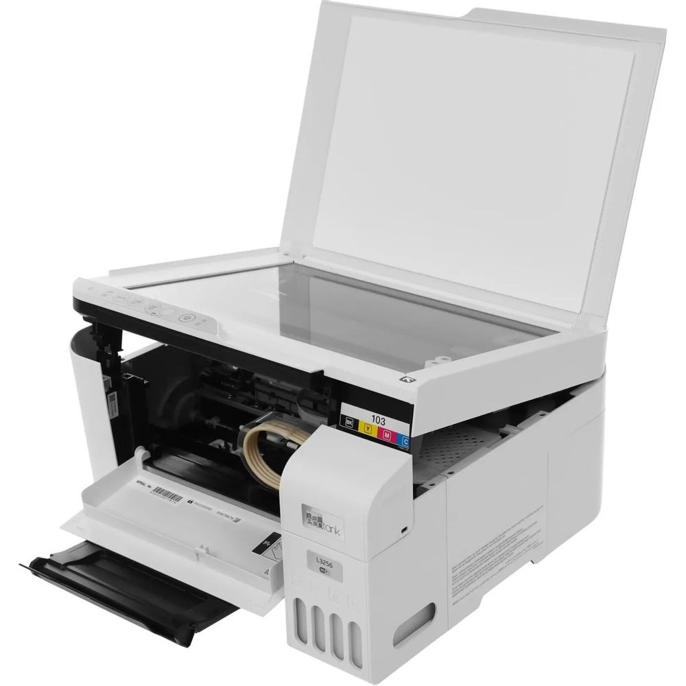 main-image
