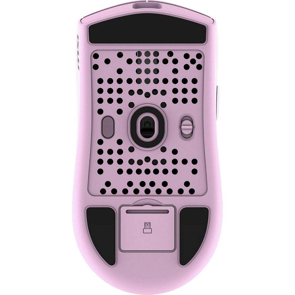 main-image