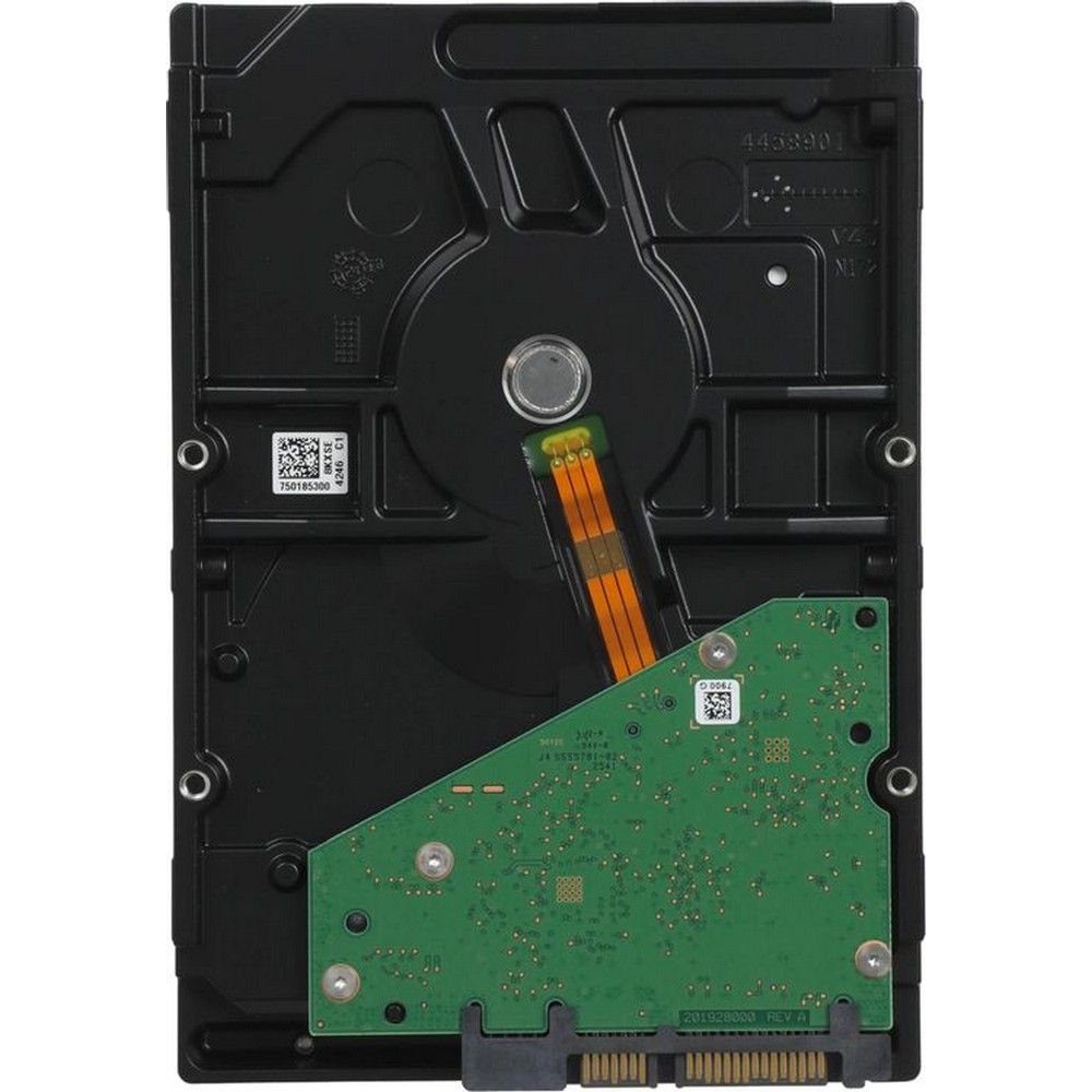 main-image