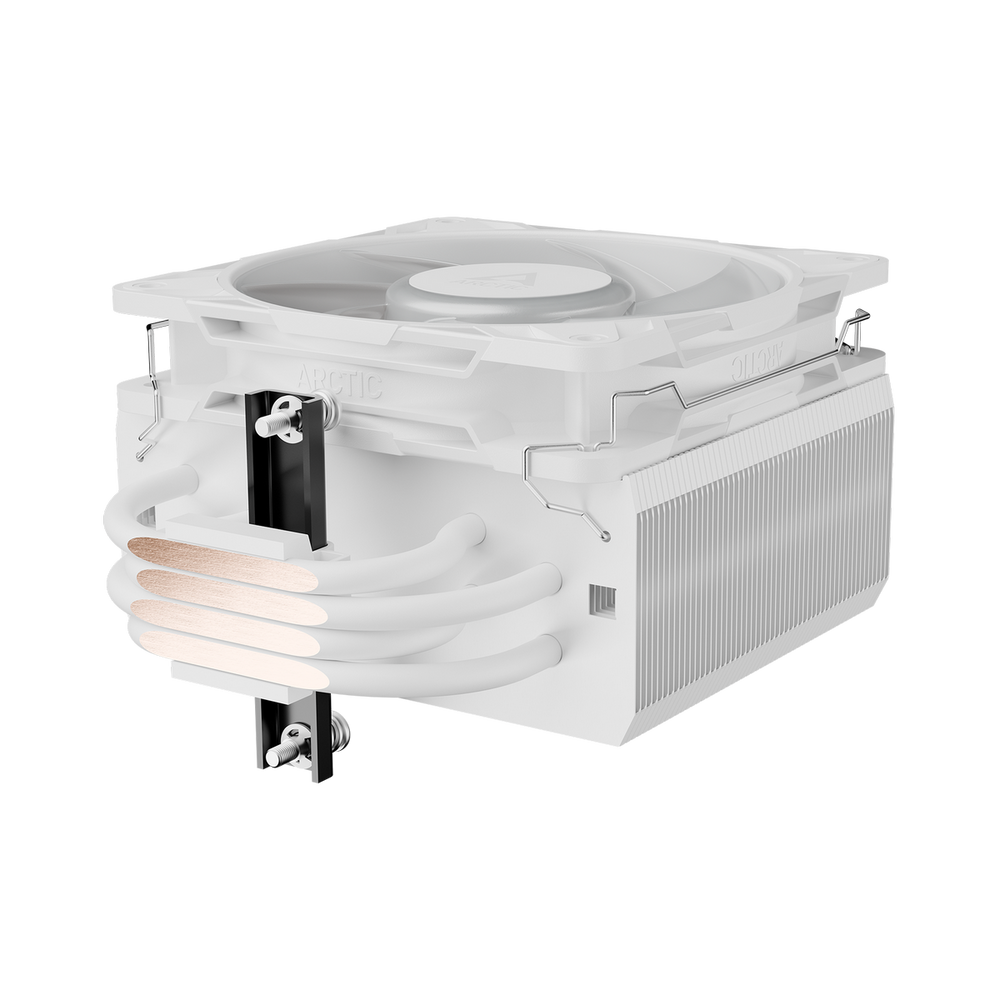 main-image