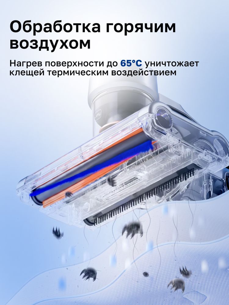 main-image