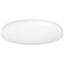 Светильник потолочный умный Xiaomi Mi Smart LED Ceiling Light MJXDD01SYL (BHR4118GL) (719042)