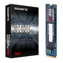 Твердотельный накопитель SSD Gigabyte 256GB M.2 2280 GP-GSM2NE3256GNTD Client PCIe Gen3x4 with NVMe, 1700/1100, IOPS 180/250K, MTBF 1.5M, 3D TLC, 300TBW, 0,64DWPD, NVMe 1.3, RTL {50} (806873)