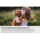 thumbnail-image