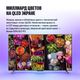 thumbnail-image