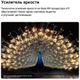 thumbnail-image