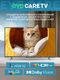 thumbnail-image