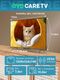 thumbnail-image