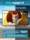 thumbnail-image