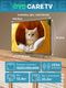 thumbnail-image