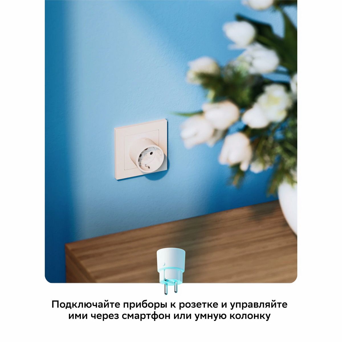 Умная розетка СБЕР/SBER: WiFi/Управление голосом (SBDV-00123W)