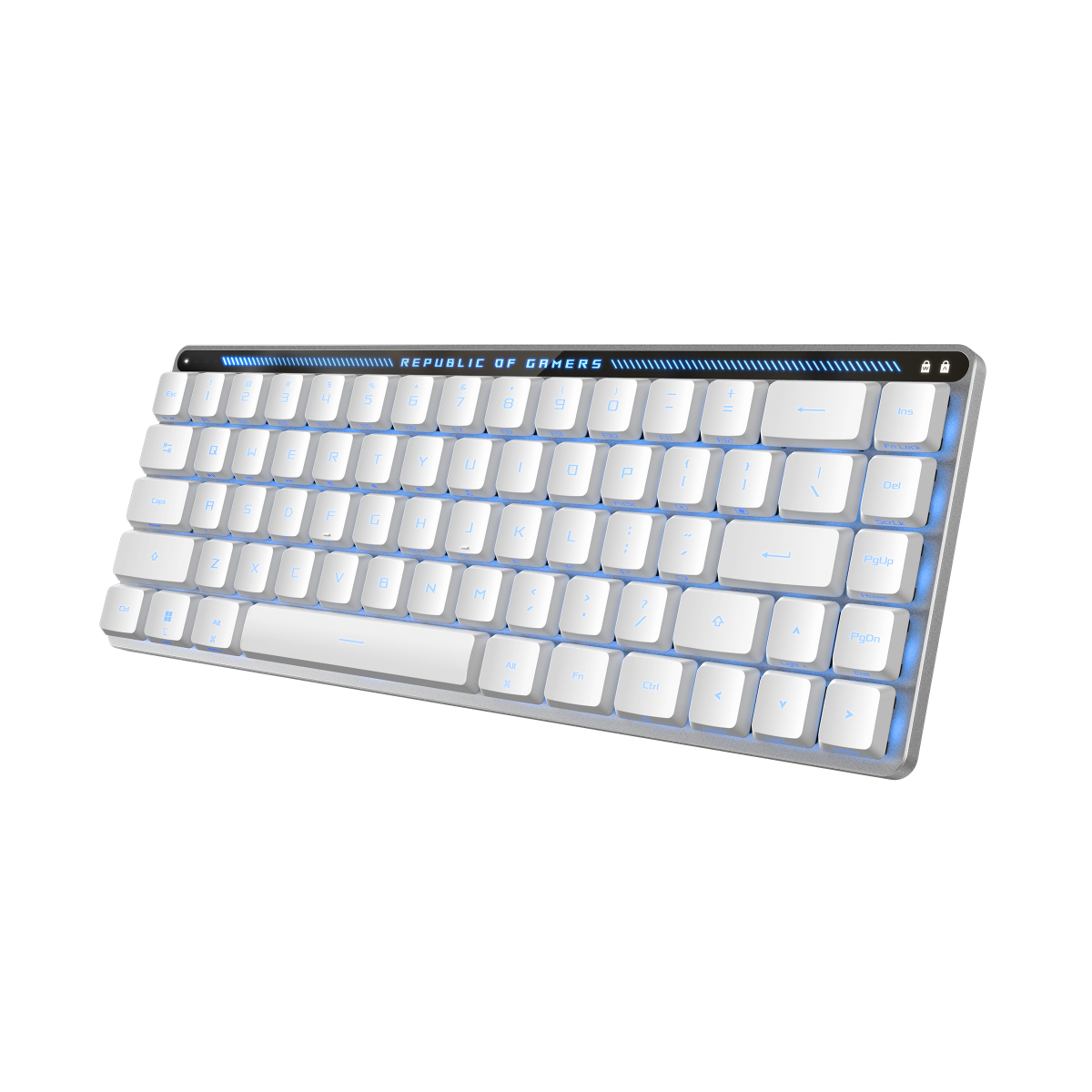 Клавиатура ASUS M603 FALCHION RX /KB,ROG RX OPTICAL/LP/RLBL/RU