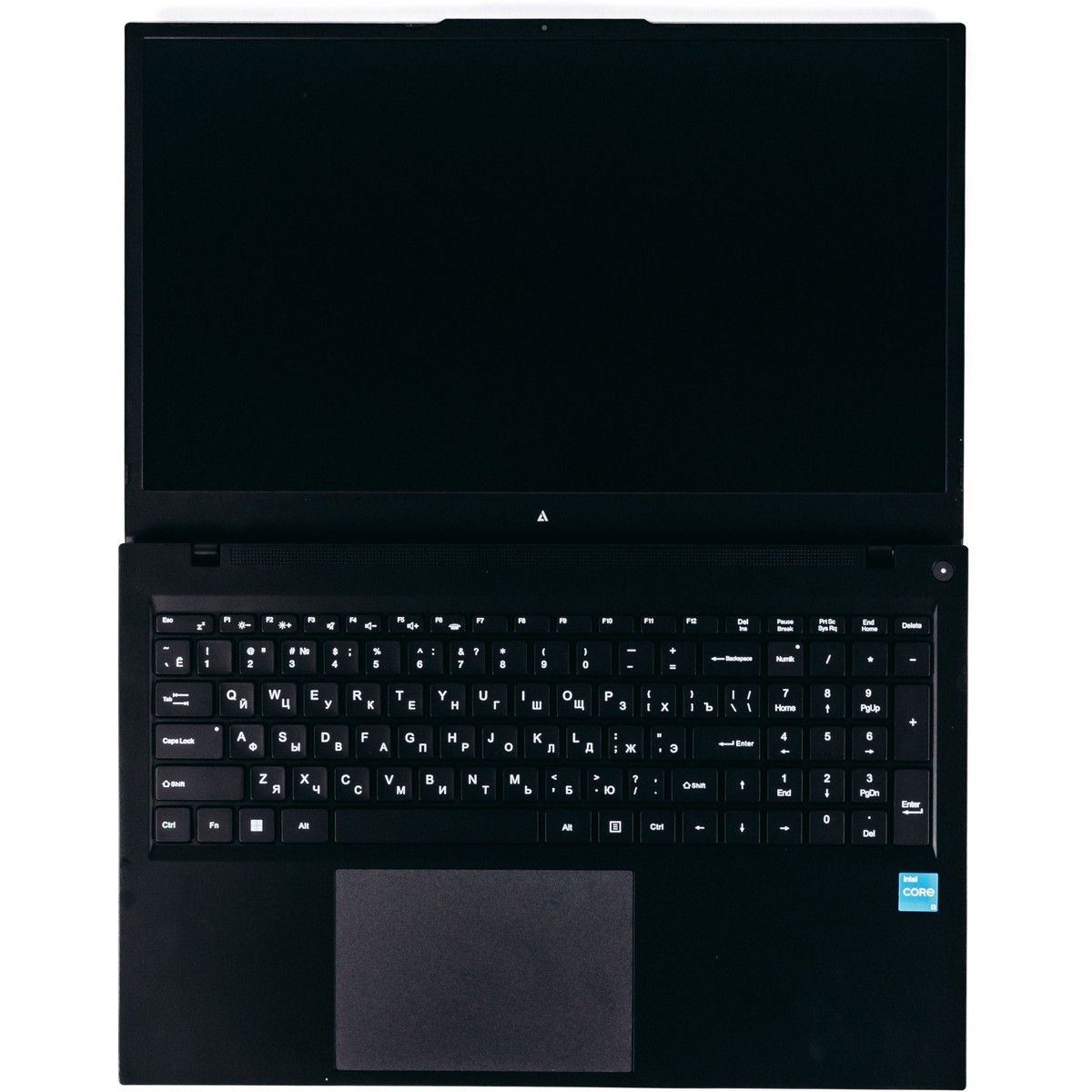Ноутбук ACD 17S Intel Core i7-1255U/8Gb/SSD256Gb/17.3"/IPS/FHD/NoOS/black (AH17S3286WB)
