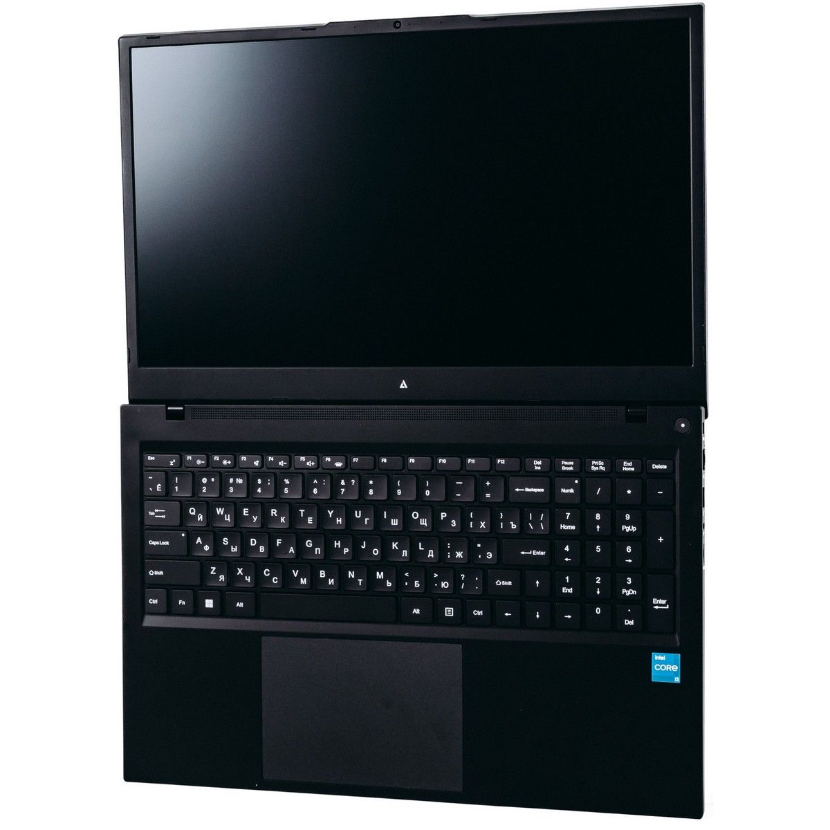 Ноутбук ACD 17S Intel Core i7-1255U/8Gb/SSD256Gb/17.3"/IPS/FHD/NoOS/black (AH17S3286WB)