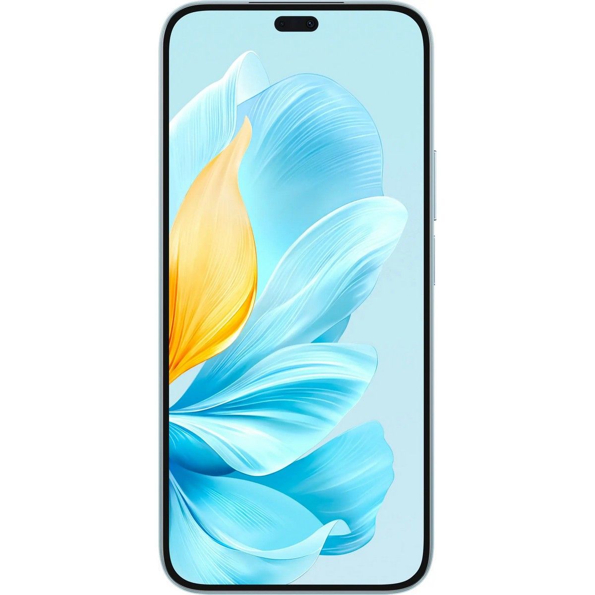 Смартфон HONOR 200 LITE 8+256Gb голубой (5109BFBH)