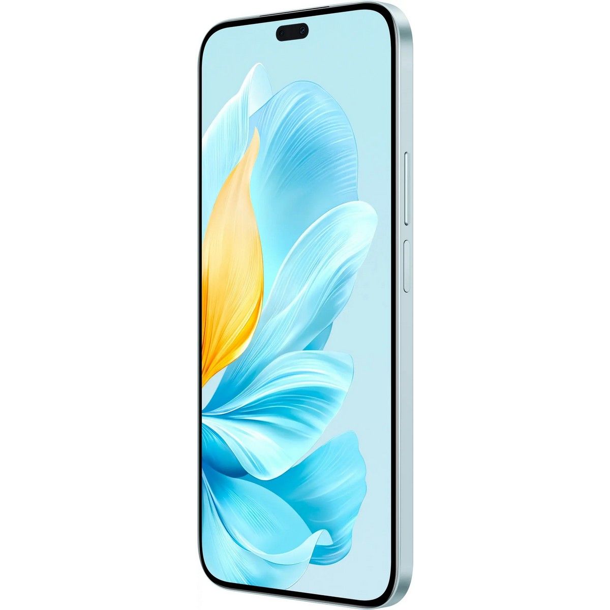 Смартфон HONOR 200 LITE 8+256Gb голубой (5109BFBH)