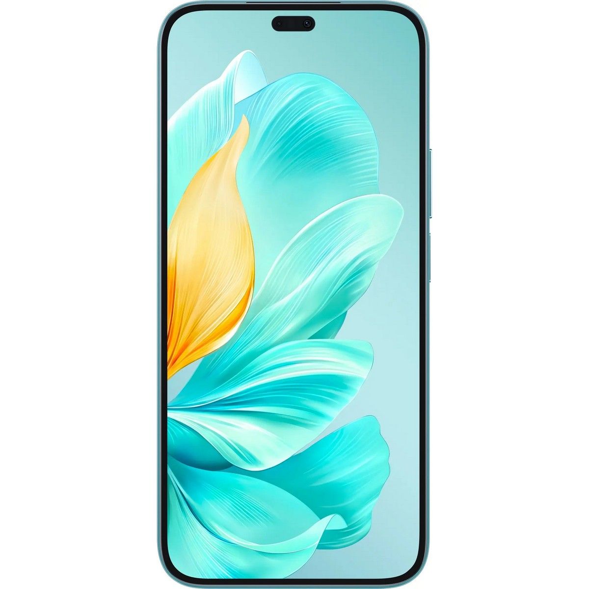 Смартфон HONOR 200 LITE 8+256Gb зеленый (5109BFBF)