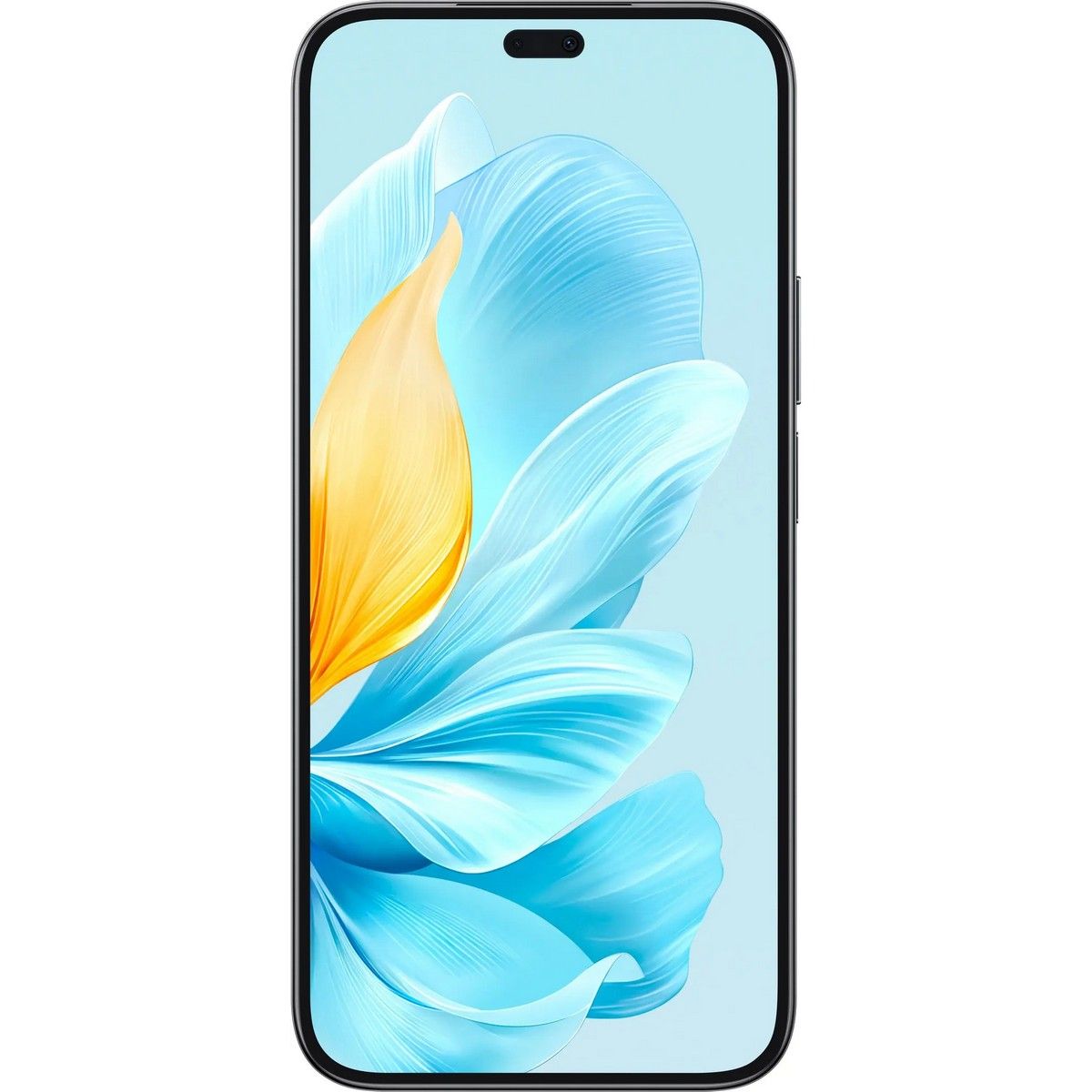 Смартфон HONOR 200 LITE 8+256Gb черный (5109BFBK)