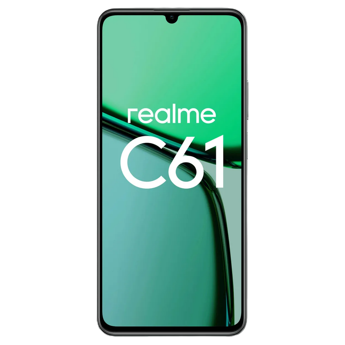 Смартфон Realme C61 RMX3930 8+256Gb темно-зеленый