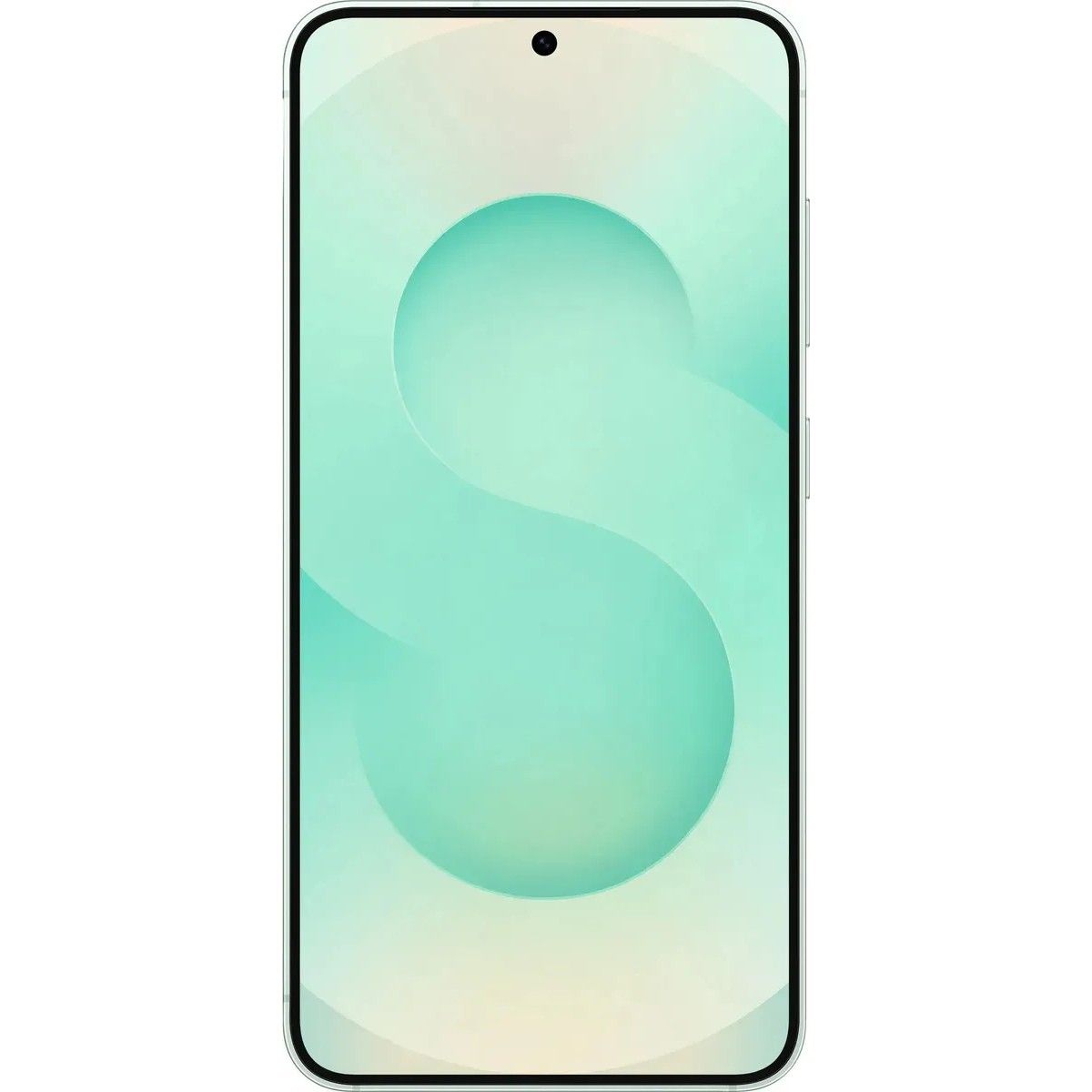 Смартфон Samsung Galaxy S25 SM-S931B 12+512Gb мятный (SM-S931BLGQCAU)