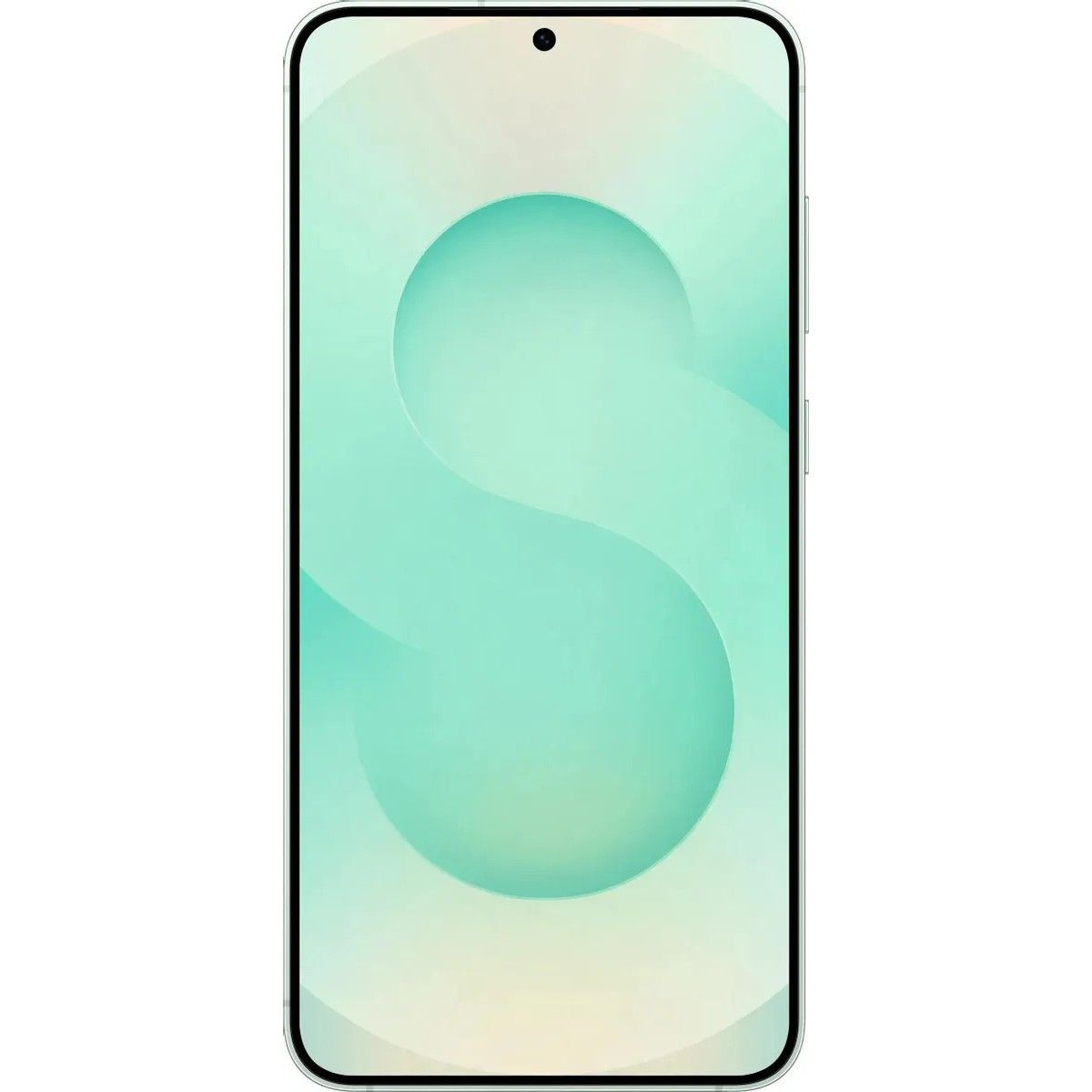Смартфон Samsung Galaxy S25+ 12+512Gb мятный (SM-S936BLGCCAC)