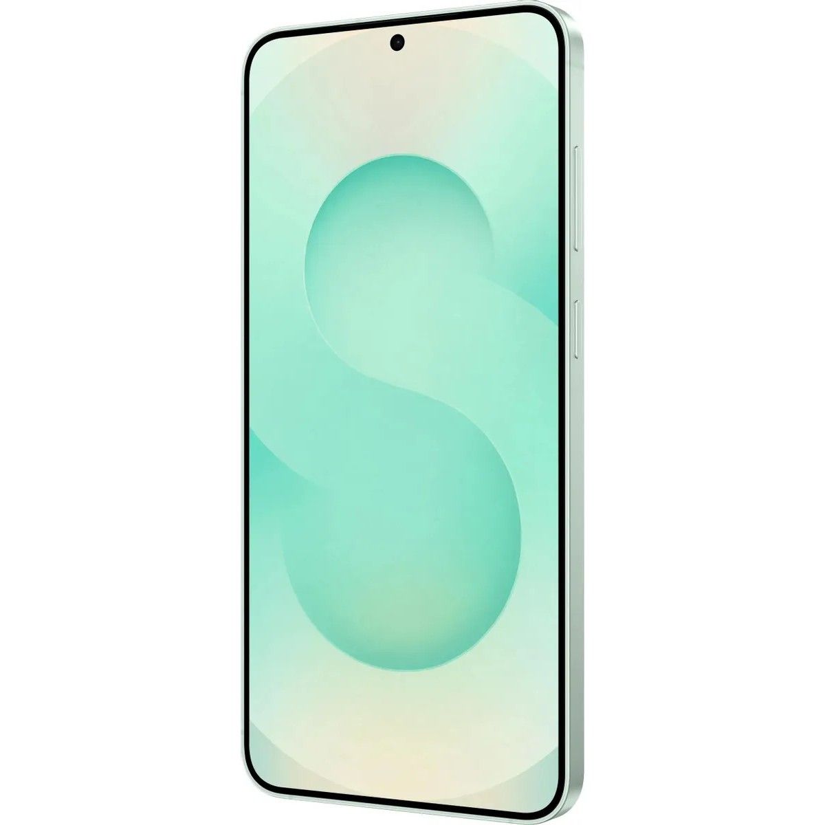 Смартфон Samsung Galaxy S25+ 12+512Gb мятный (SM-S936BLGCCAC)