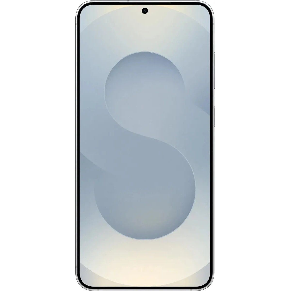 Смартфон Samsung Galaxy S25+ 12+512Gb серебрянный (SM-S936BZSCCAC)