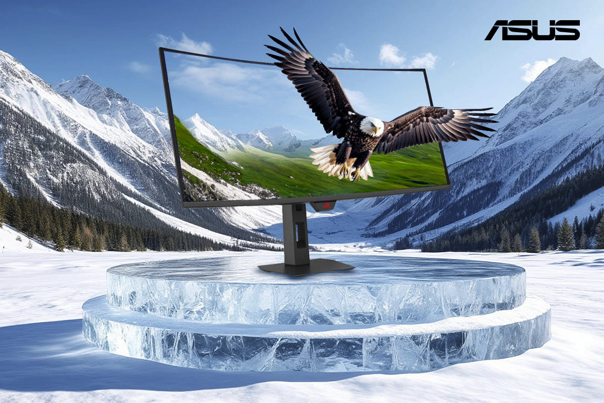Мониторы ASUS нового поколения в ассортименте 3Logic Group