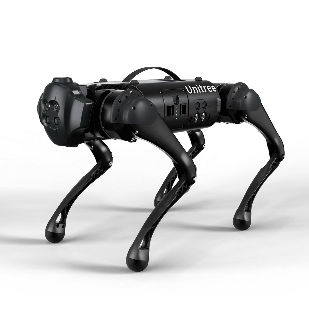 Go1 Quadruped Robot